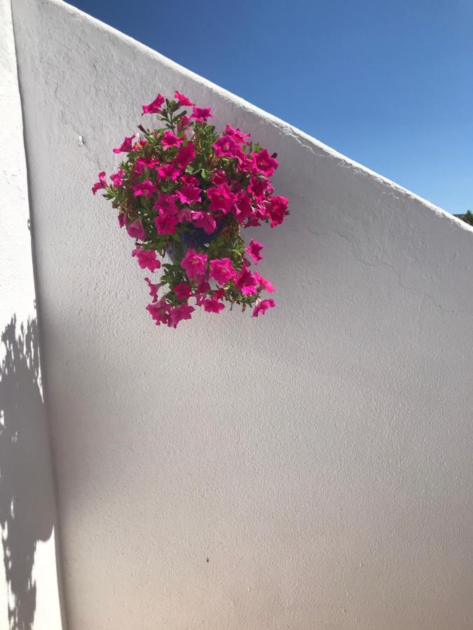Apartament Bonita *