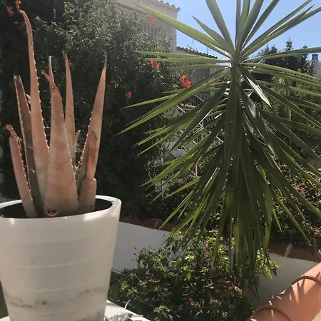Bonita Casa Adosada Empuriabrava Zewnętrze zdjęcie