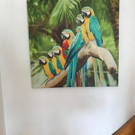 Bonita Casa Adosada Empuriabrava Zewnętrze zdjęcie